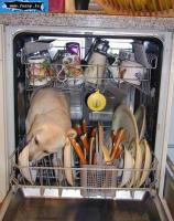 small_streamimage1722_jpg.jpg